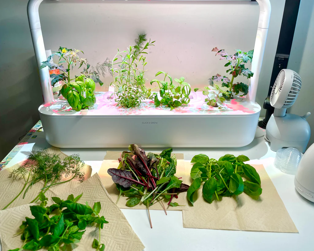 Click and Grow unit with colorful flowers in bloom